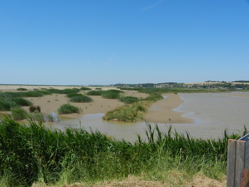 Zones de protection et de nourrissage pour les oiseaux