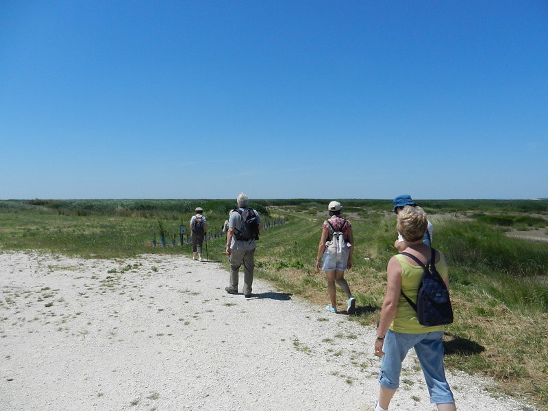 en route vers l'observatoire