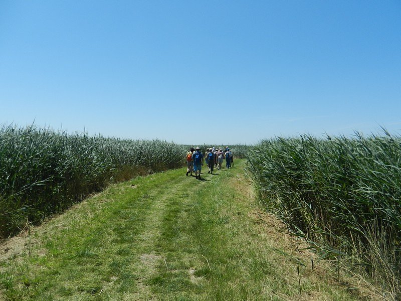 en route vers l'observatoire