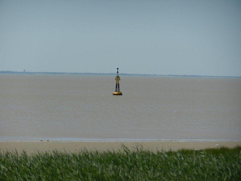 bouée cardinale pour les  bateaux