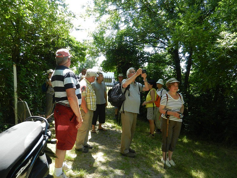 premières explications du guide