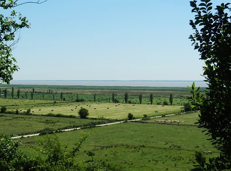 point de vue sur la Gironde du haut de la falaise