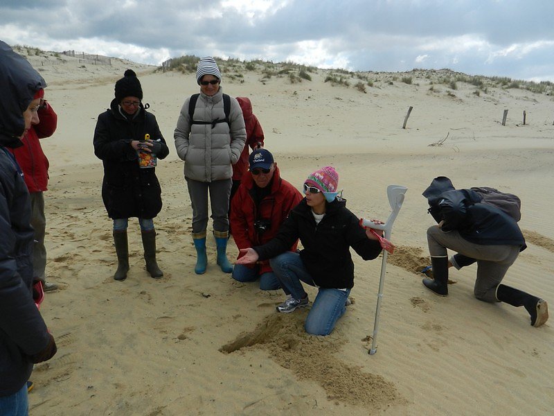 couleurs, granulométrie, minéraux...