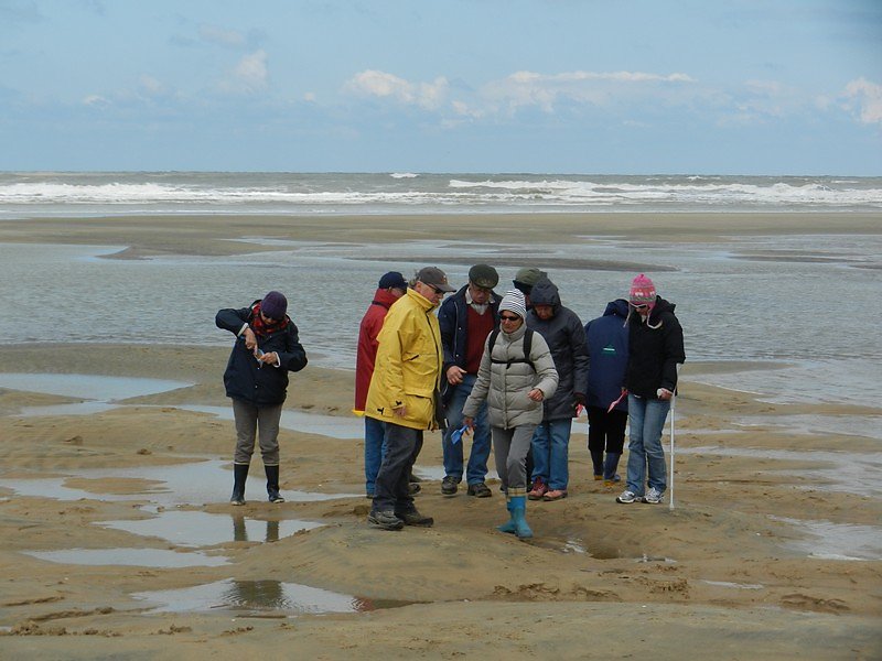 sable dur, sable mou