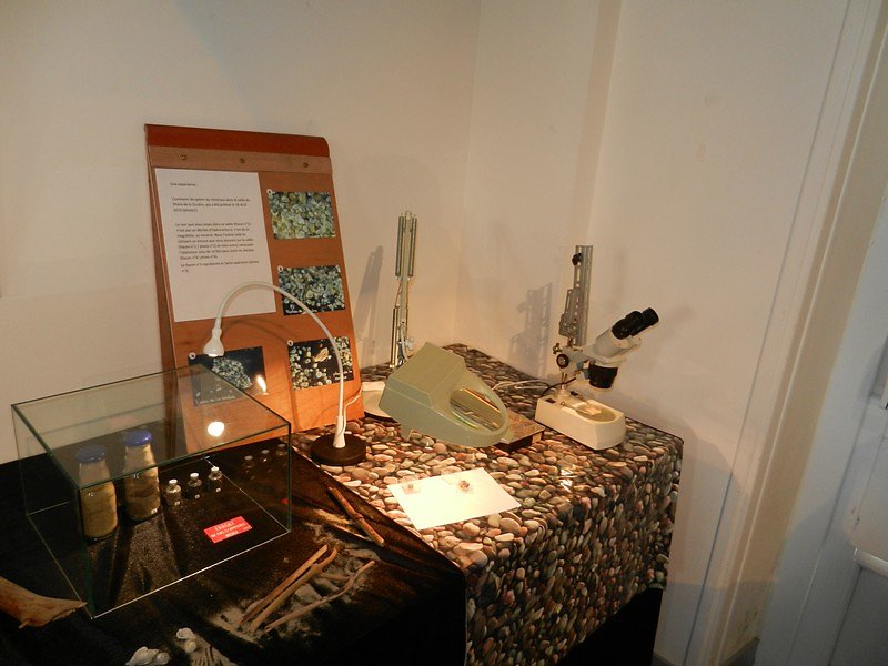 microscope pour voir en détail