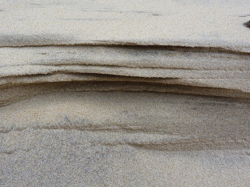 le vent sculpte la dune