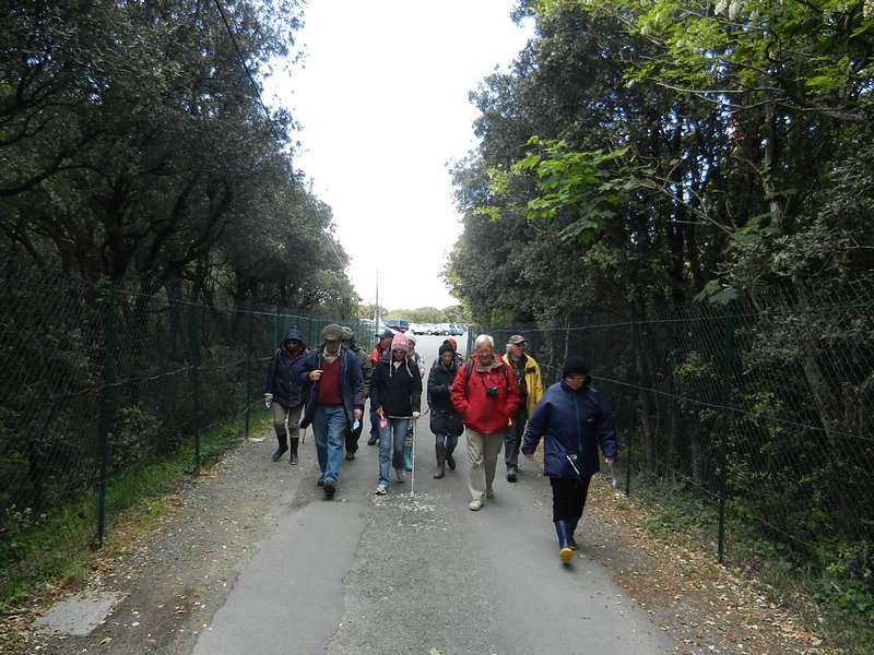 Départ vers la plage