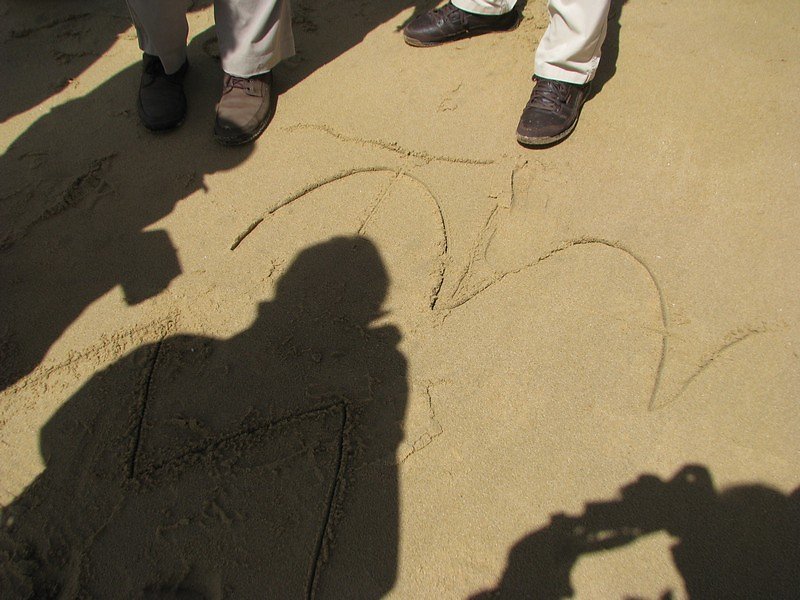 effets mécaniques des courants de vagues  sur  la plage (monticules réguliers)