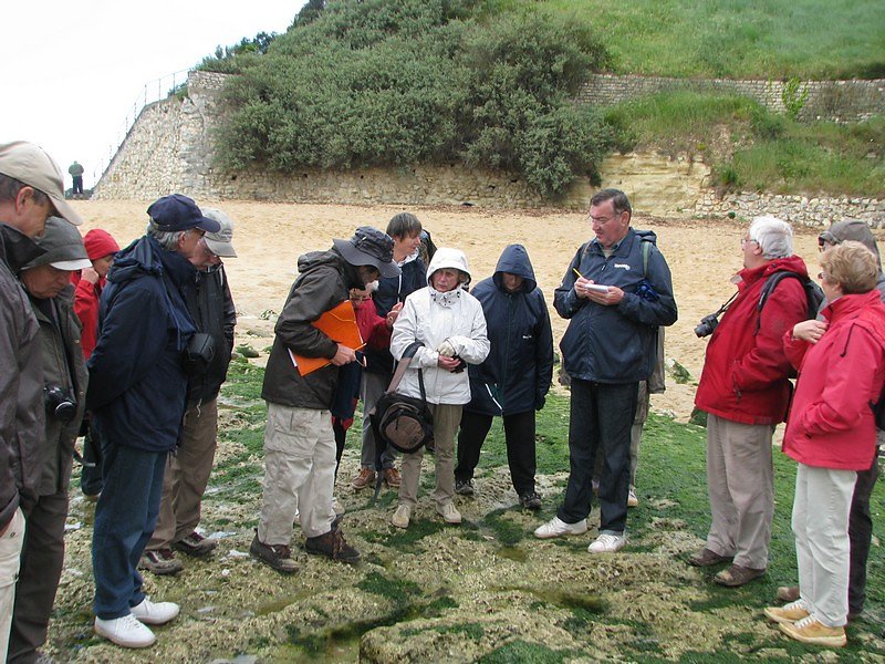 après une belle averse, regardons les algues