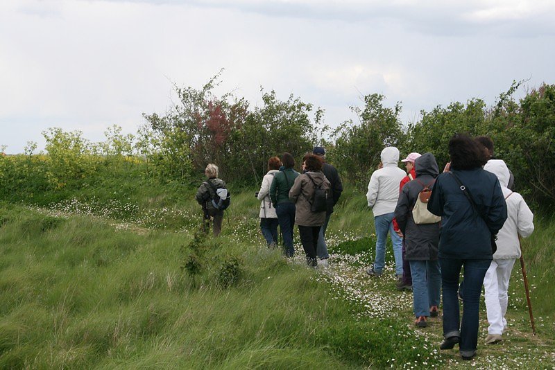 le groupe avec Viviane en tête