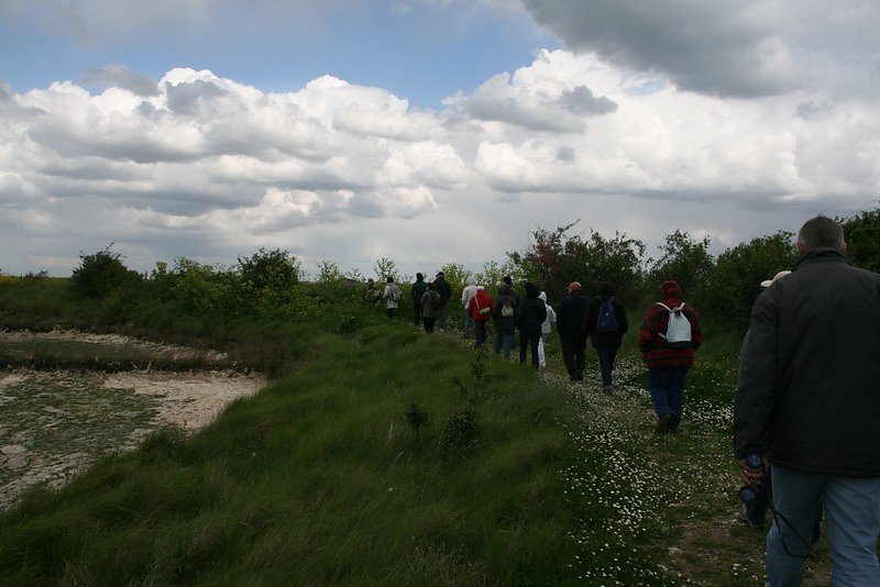 Progression sur les taillées
