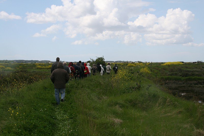 Végétation fournie