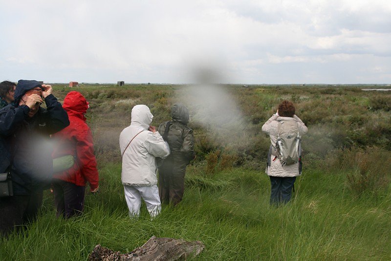La pluie s'invite à notre observation...