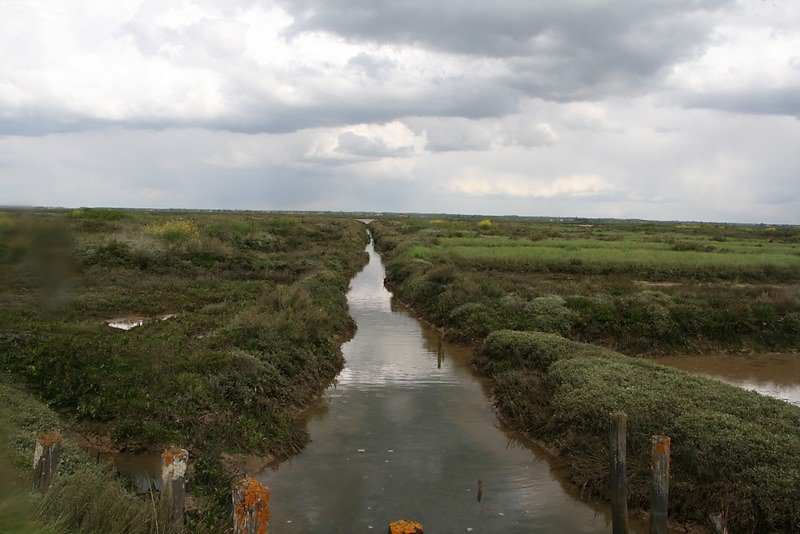 Chenal vers la Seudre