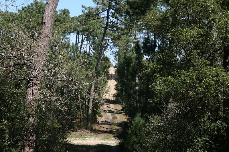 les dunes à gravir, le sable difficile pour la marche,