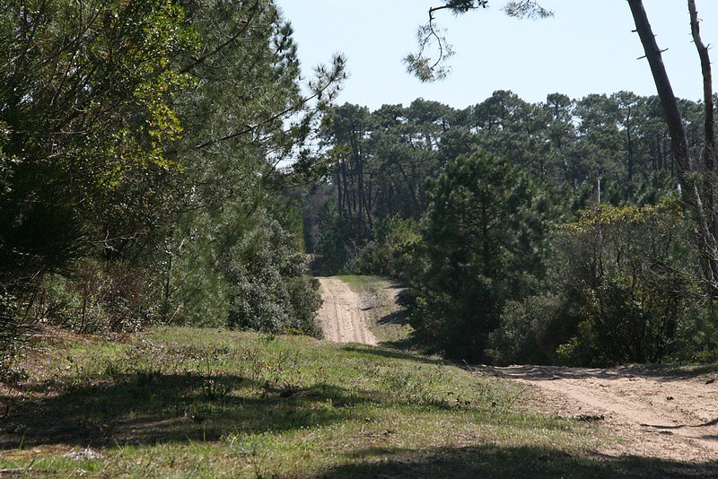 le terrain n'est pas du tout plat