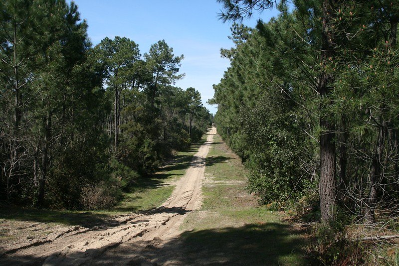 les longues remontées...
