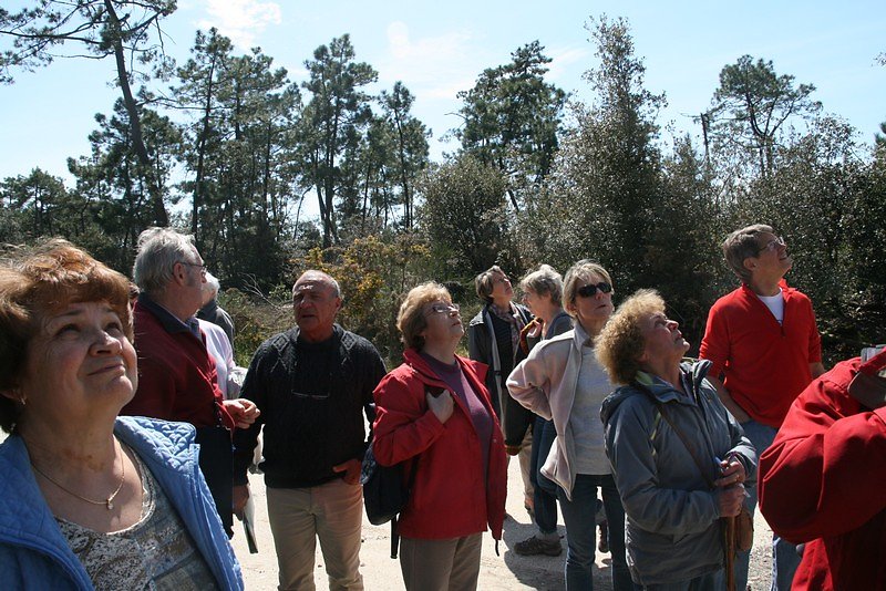 le radar culmine sur un point haut (42m)