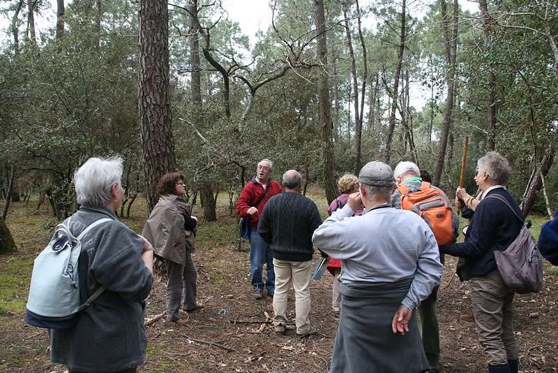 palombière privée mais identifiéedes échanges nourris