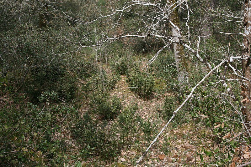 dans cette cuvette, on s'attendait à voir de l'eau