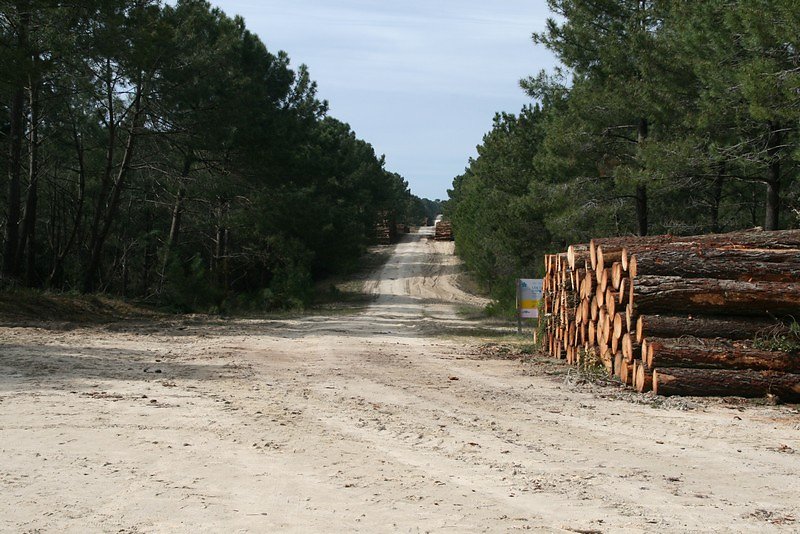 piste DFCI protection contre l'incendie