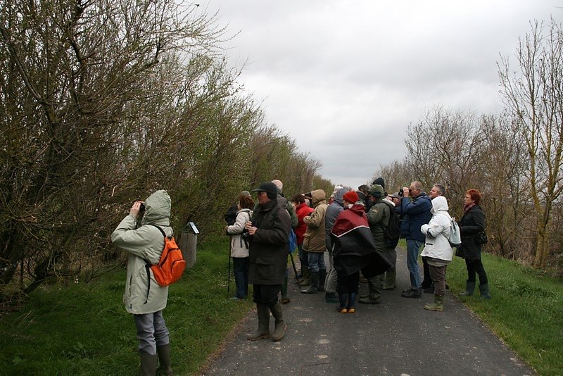 Le groupe bien emmitouflé