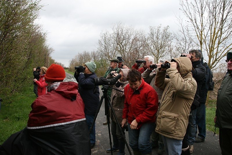 la longue vue indispensable pour voir distinctement