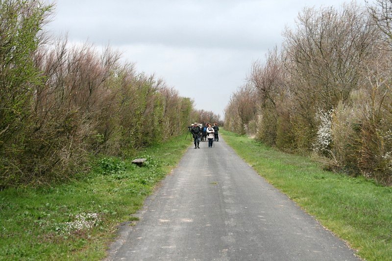 Le sentier des Tannes