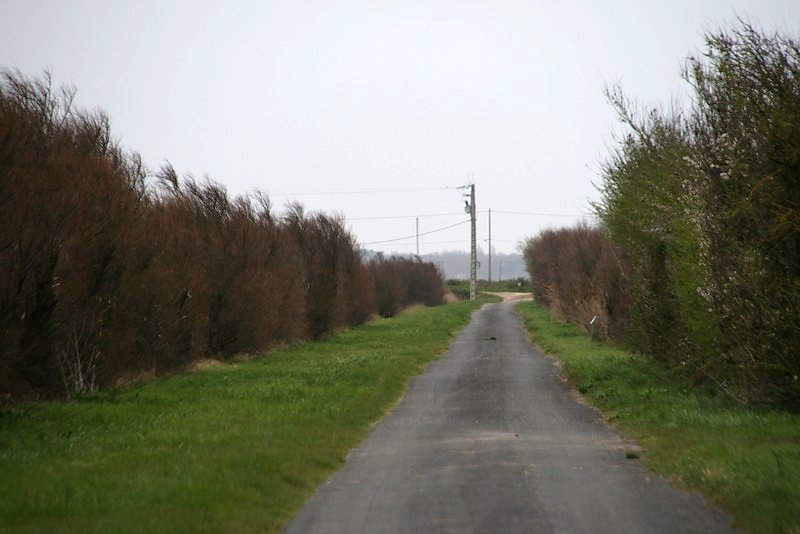 Le chenal de BROUAGE pour tenter de voir les Gorgebleues