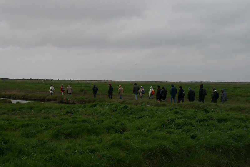 le parcours humide vers l'observatoire
