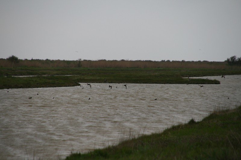 Du monde sur les plans d'eau