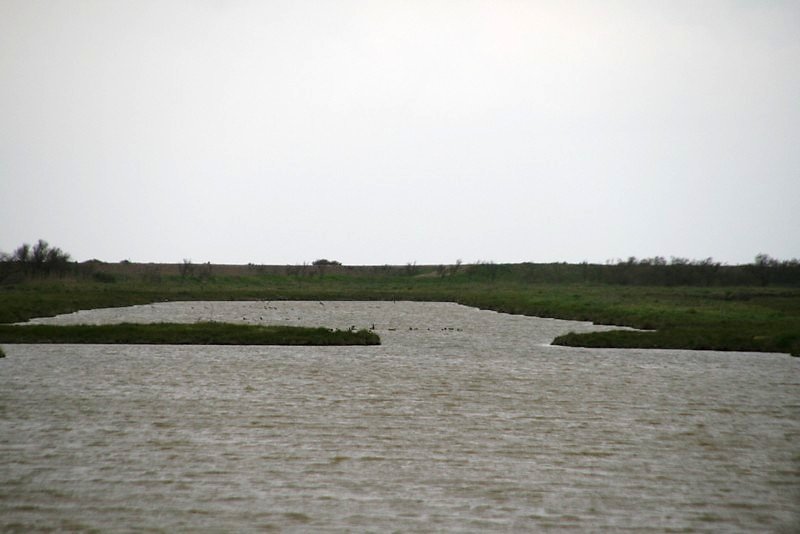 Vaste plan d'eau, idéal pour le repos des canards