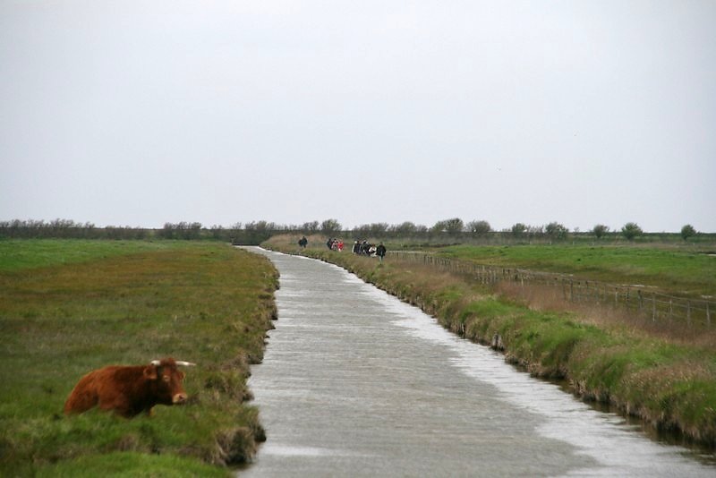 le 1er groupe de retour de l'observatoire