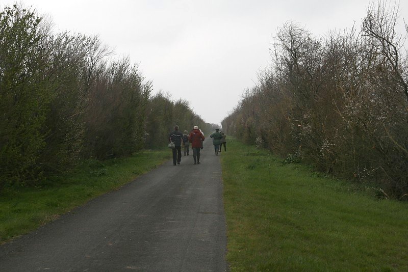 Retour vers les voitures, on est congelé par le vent.
