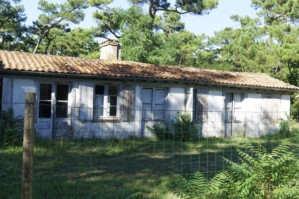 L'école de la forêt