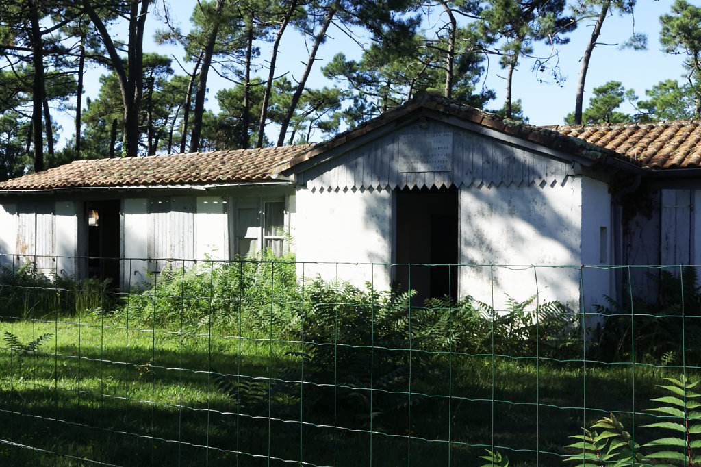 L'école de la forêt.