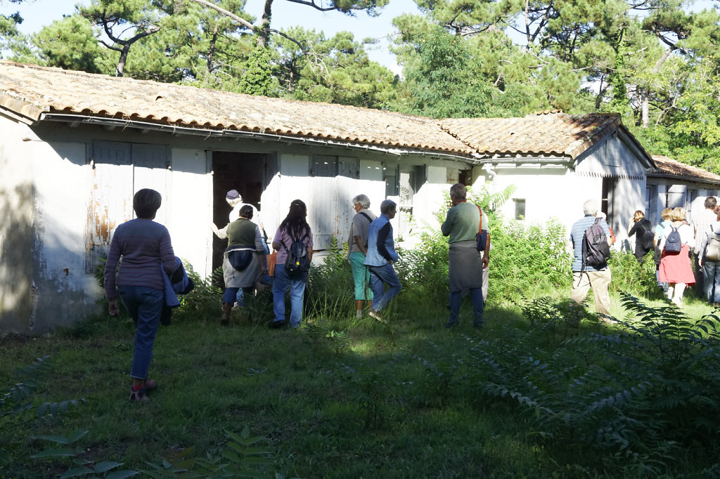 L'école de la forêt