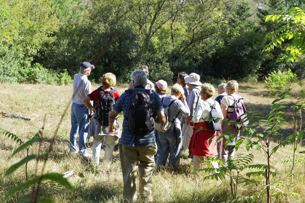 Dans la grande allée