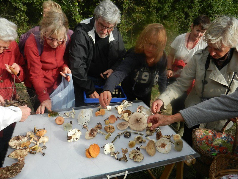 la cueillette s'enrichit