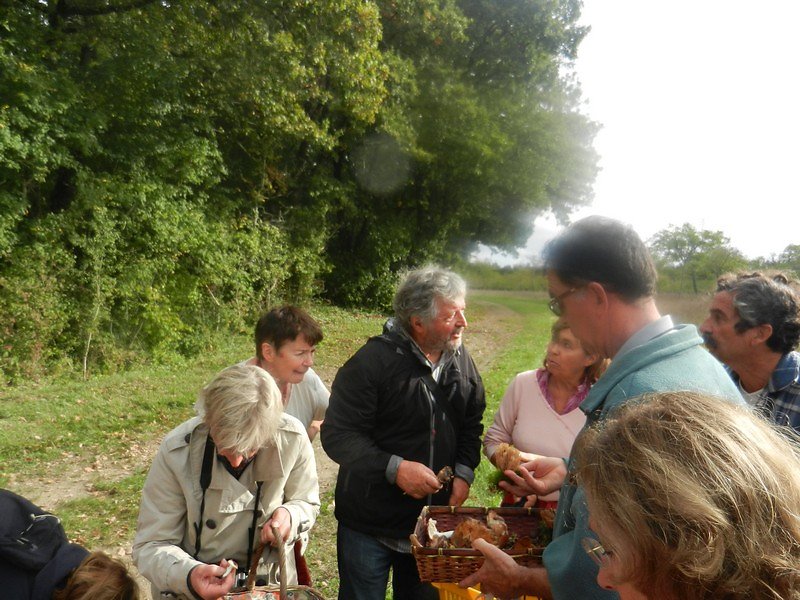 chacun expose ses spécimens même certains venus d'ailleurs