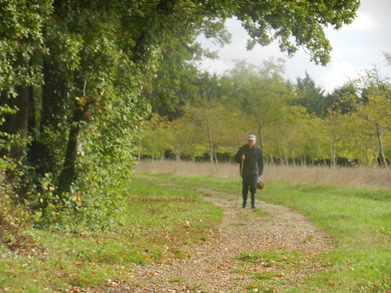 on attend le dernier cueilleur