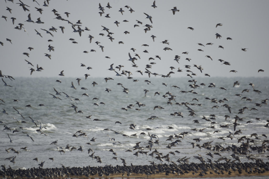 On tente de se reposer au sec