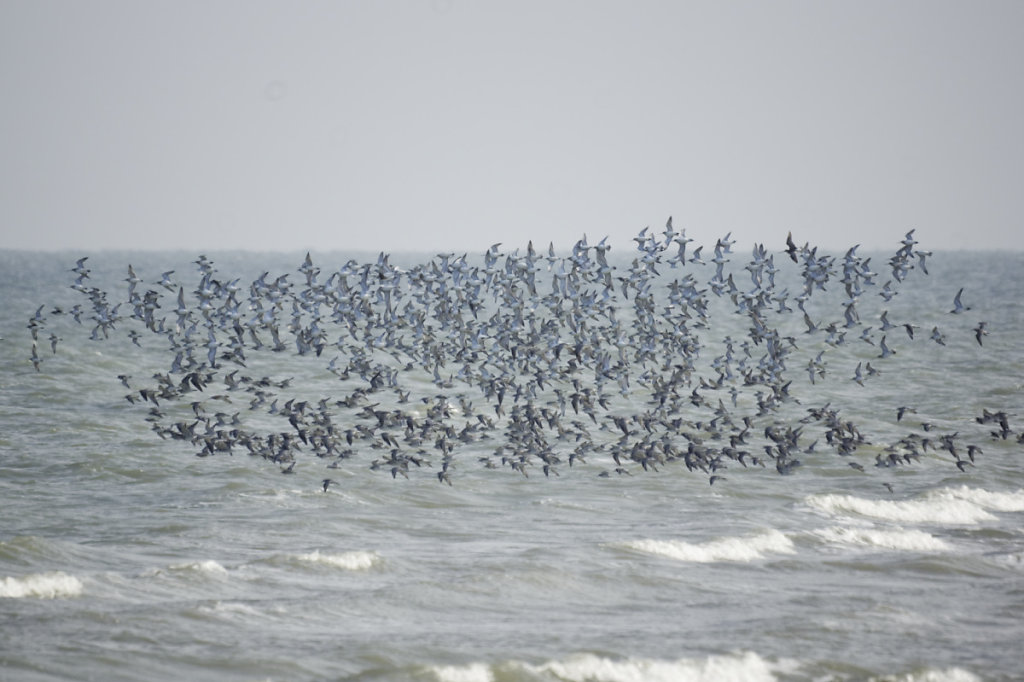 Couleurs changeantes