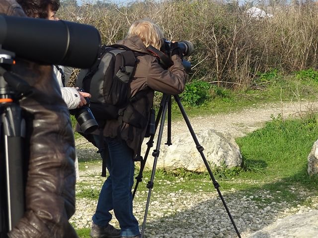 La longue vue, presque indispensable, pour de bonnes observations