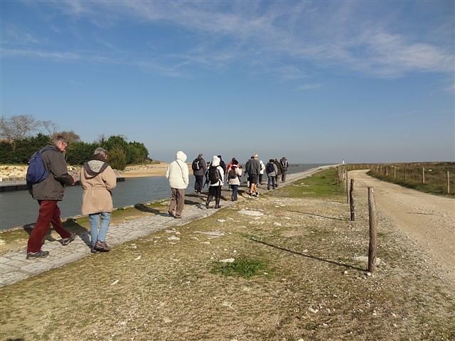 En route pour l'observation