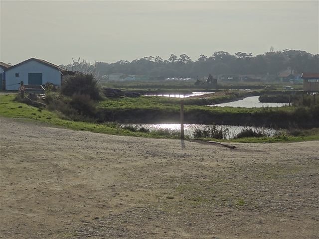 Claires ostréicoles à Fort Royer