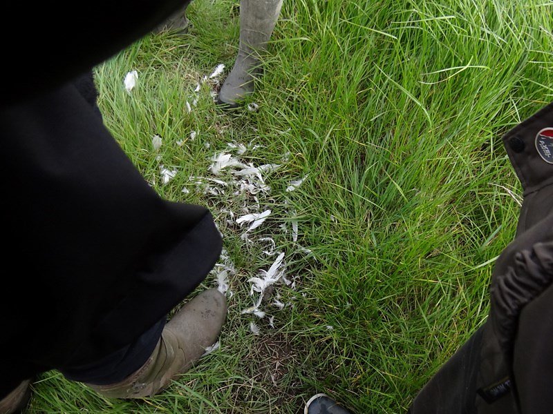 Reste d'un passage de vie à trépas