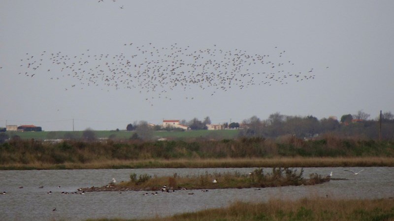 Depuis l'observatoire