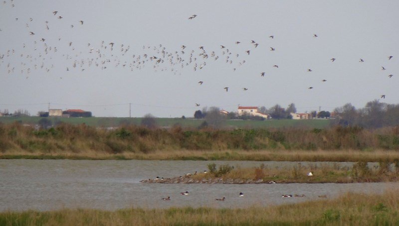 Depuis l'observatoire