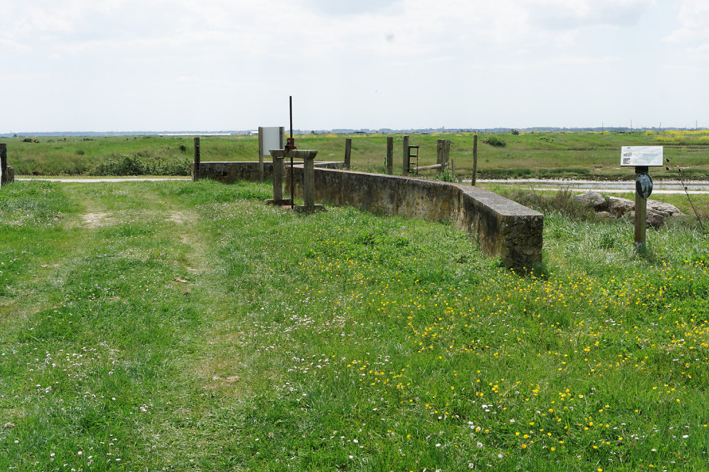 Paysage de marais salés